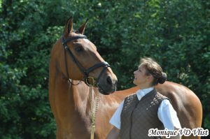 Sportfit Paard&Miep