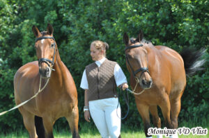 Paard&Miep-hippische coaching