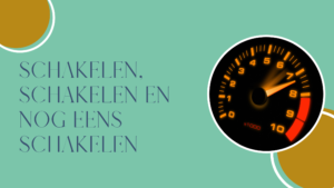 Hippische coaching Paard&Miep