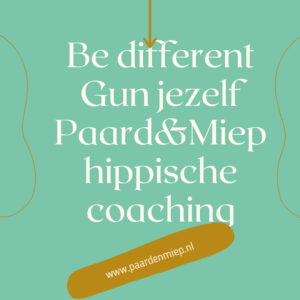 Hippische coaching Paard&Miep