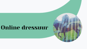 Hippische coaching Paard&Miep