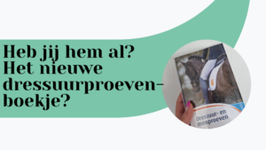 Hippische coaching Paard&Miep